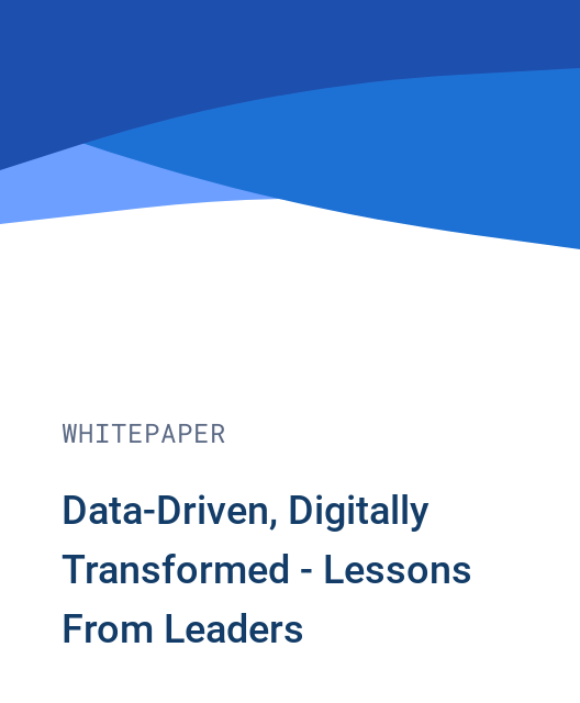 Data-Driven, Digitally Transformed - Lessons From Leaders