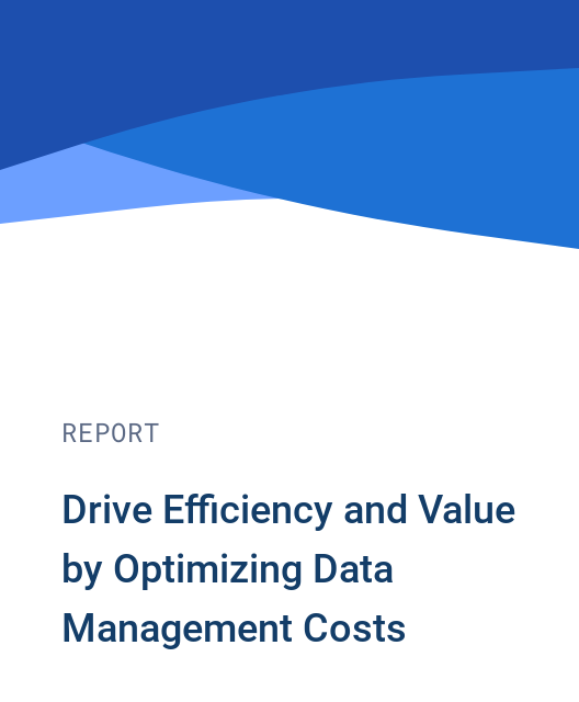 Drive Efficiency and Value by Optimizing Data Management Costs