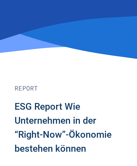 ESG Report Wie Unternehmen in der “Right-Now”-Ökonomie bestehen können. 