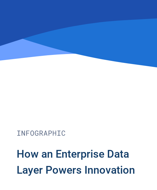 How an Enterprise Data Layer Powers Innovation