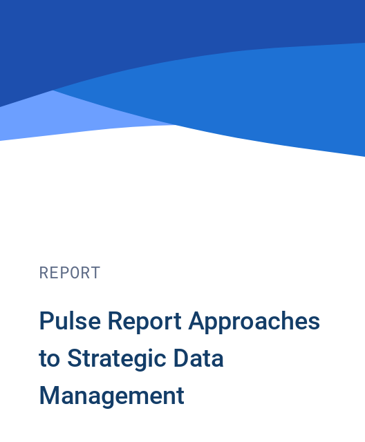 Pulse Report Approaches to Strategic Data Management