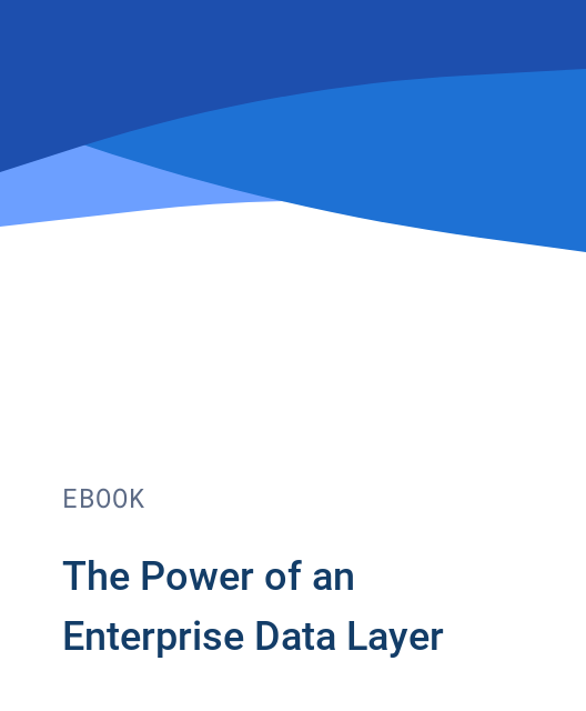 The Power of an Enterprise Data Layer